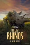 The Last Rhinos: A New Hope movie poster: Rhinos in the sunset.