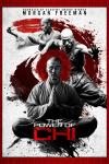 The Power of Chi movie poster: Chinese men in martial arts moves