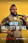 Untold Mr. T: I Pity the Fool movie poster: Mr. T stands in a camo outfit, covered in gold chains and jewelry