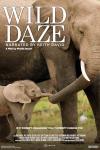 Wild Daze Movie Poster: A mother elephant leads her baby elephant by its trunk