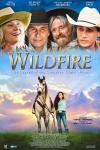 Wildfire: The Legend of the Cherokee Ghost Horse movie poster: A teen girl stands next to a grey horse; other characters' faces above
