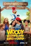 Woody Woodpecker Goes to Camp movie poster: Woody and campers.