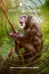 Earthsounds: A monkey sits on a tree in the jungle