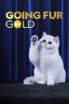 Going Fur Gold TV Poster: a fluffy white cat poses on a stage