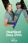 Heartland Docs DVM poster: A white man and woman stand in front of a green background wearing outdoorsy cloths