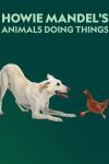 Howie Mandel's Animals Doing Things: A large white dog in downward dog pose looking at a chicken in front of a dark green background