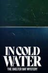 In Cold Water: The Shelter Bay Mystery: White text appears on a very dark and gloomy lake background.
