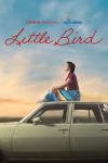 Little Bird TV show poster: A young woman sits on top of a 1960s car and gazes toward the sky