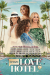 Love Hotel TV show poster: Composite of Shannon Storms Beador, Gizelle Bryant, Ashley Darby, and Luann de Lesseps. 