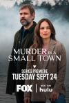 Murder in a Small Town TV show poster: A man and woman stand looking in different directions. They are by open water, in front of fog and forest.