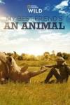 My Best Friend's an Animal: TV Image, a rhino laying in a field, being touched by an African man, also sitting in a field.