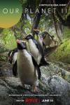 Our Planet II TV show poster: image of penguins walking