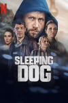Sleeping Dog poster: Max Riemelt surrouned by other cast members in center of poster. 