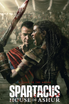 Spartacus: House of Ashur poster: Nick E. Tarabay stands facing forward behind Tenika Davis facing back and left. 
