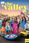 The Valley TV show poster: Entire cast in yard with kiddie pool on ground.