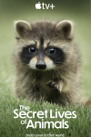 The Secret Lives of Animals printed in white on a greenish background with baby raccoon in the center frame