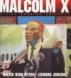 Malcolm X: A Fire Burning Brightly Poster Image