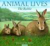 The Rabbit: Animal Lives Poster Image