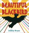 Beautiful Blackbird Poster Image
