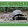 Owen & Mzee Poster Image