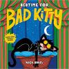 Bedtime for Bad Kitty Poster Image