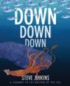 Down Down Down: A Journey to the Bottom of the Sea Poster Image