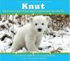 Knut: How One Little Polar Bear Captivated the World Poster Image