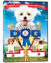 Lucky Dog Poster Image