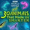 30 Animals That Made Us Smarter Podcast Logo