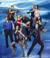 Skating with the Stars Poster Image