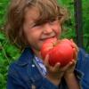 Chefs A'Field: Kids on the Farm Poster Image