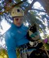 Treetop Cat Rescue Poster Image