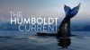 The Humboldt Current Poster Image
